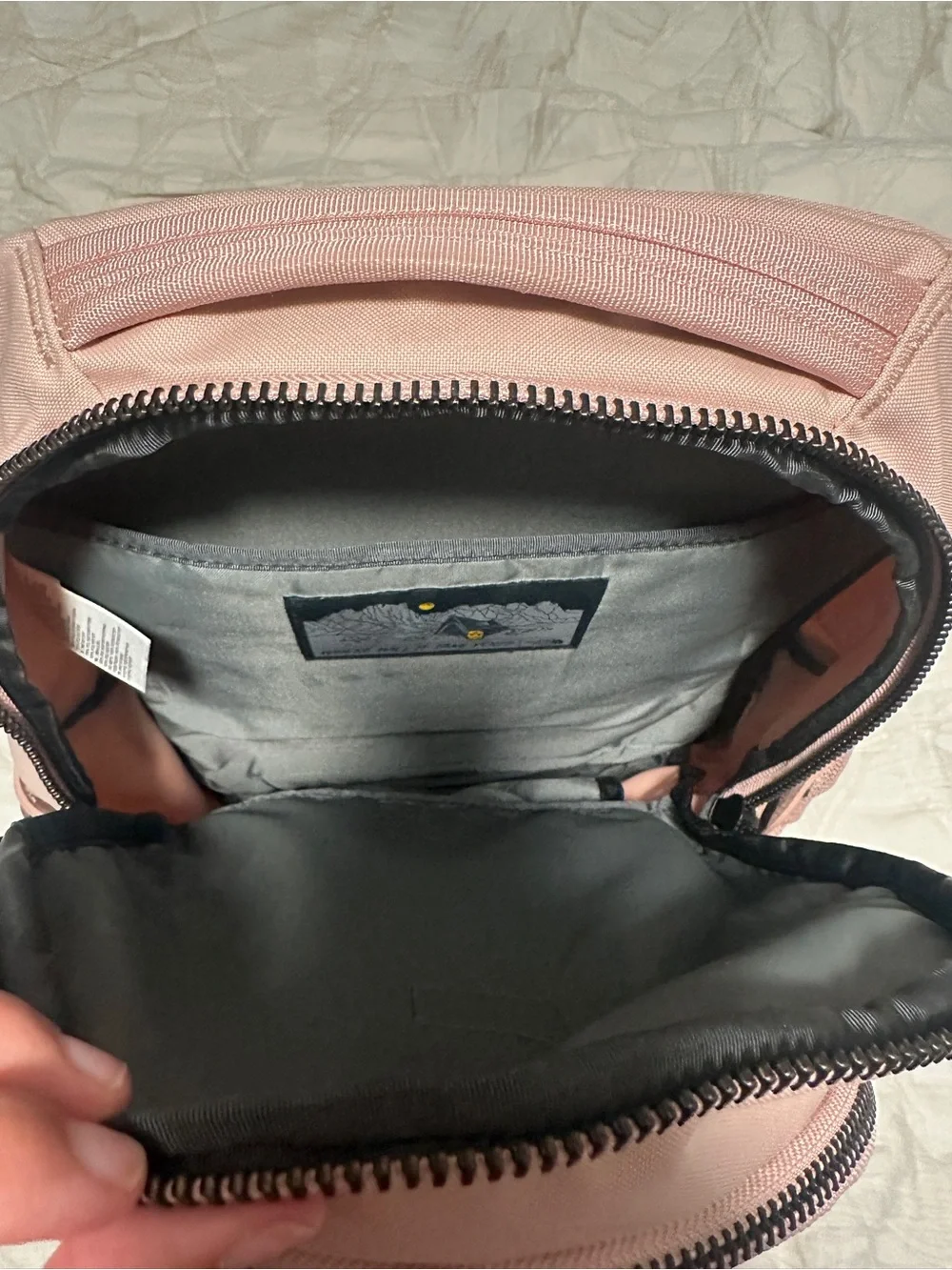 The North Face Dusty Pink Jester Backpack